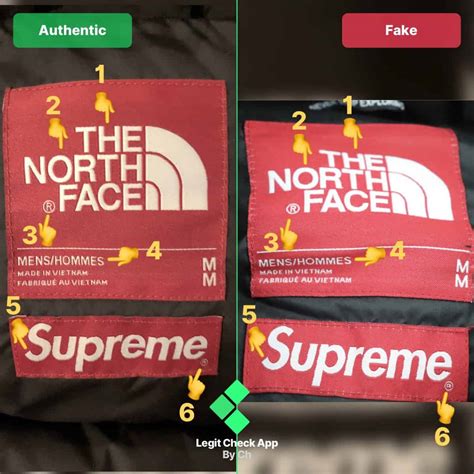 real vs fake TNF expedition pullover and expedition coach jacket 